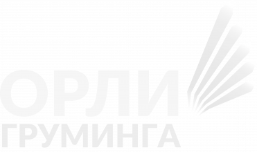 Орли на груминга